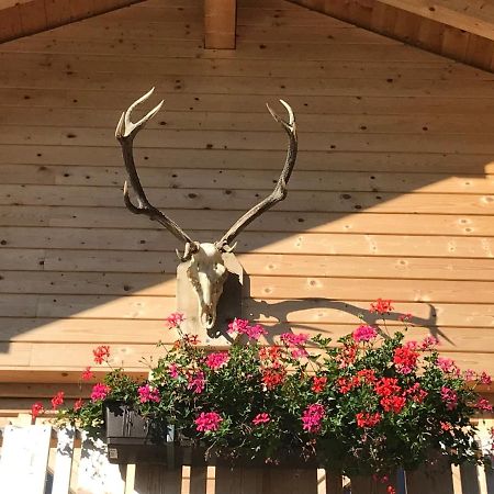 Alpenlodge Kirchbach Kirchbach  외부 사진