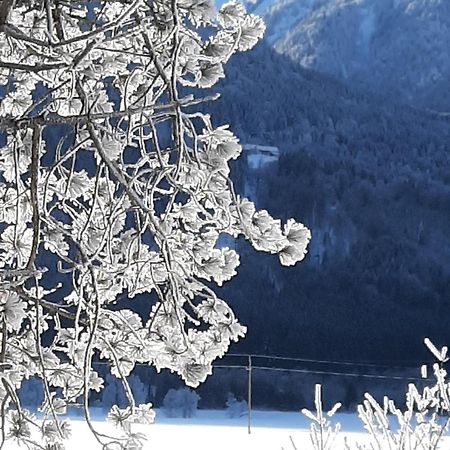 Alpenlodge Kirchbach Kirchbach  외부 사진