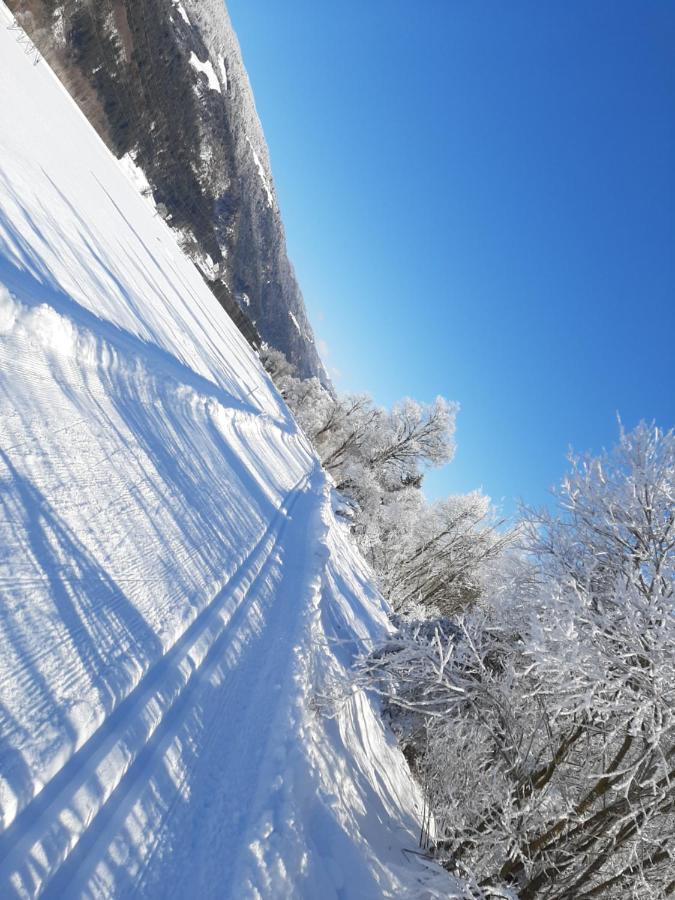 Alpenlodge Kirchbach Kirchbach  외부 사진
