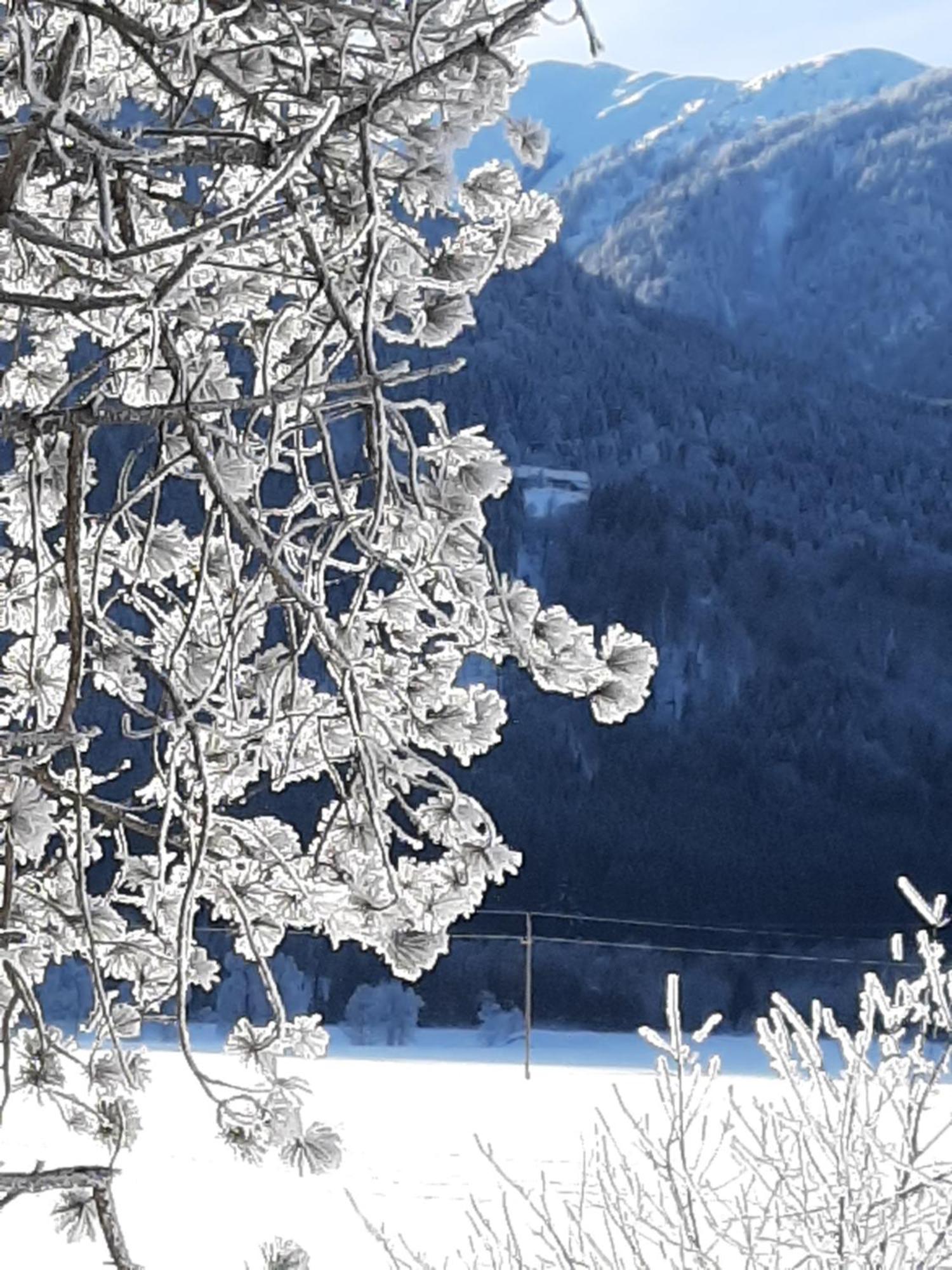 Alpenlodge Kirchbach Kirchbach  외부 사진