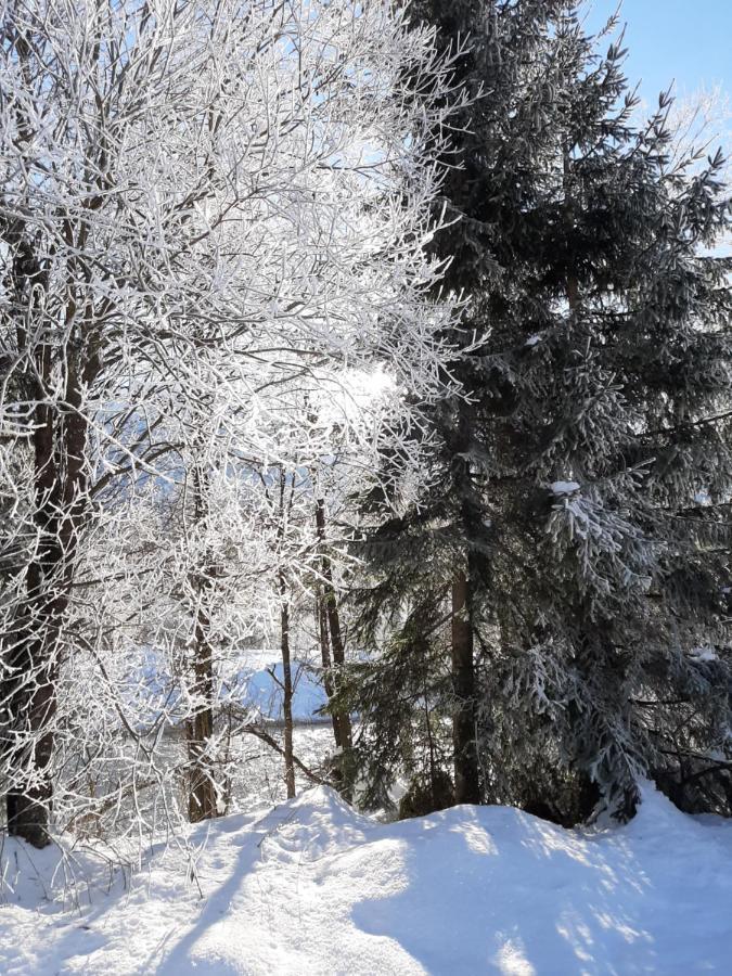 Alpenlodge Kirchbach Kirchbach  외부 사진